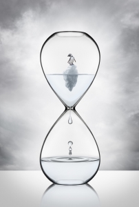 ISFA Gold Medal+ $150 USD